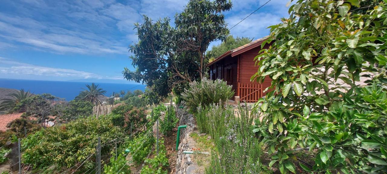 Cabana Los Palmeros, Vista Al Mar Y La Montana Alojera Εξωτερικό φωτογραφία
